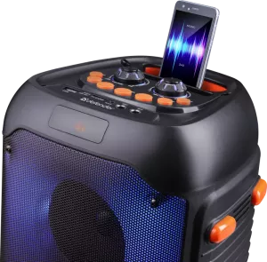 Defender - Portaabl akustični sistem Boomer 25